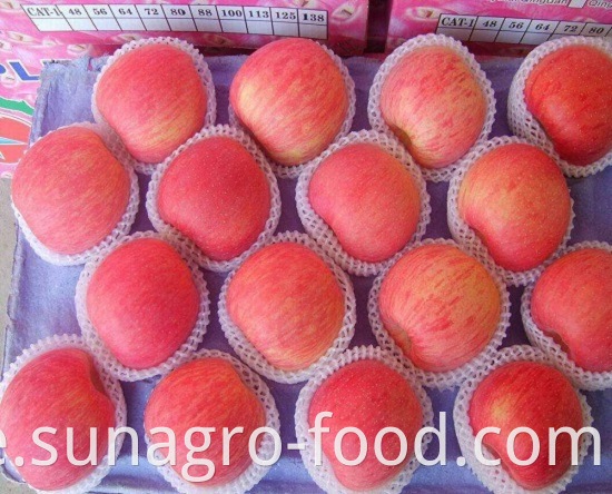 Excellent Variety Of Fuji Apple